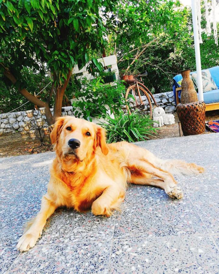 L'Onda Oda Bodrum Exteriér fotografie